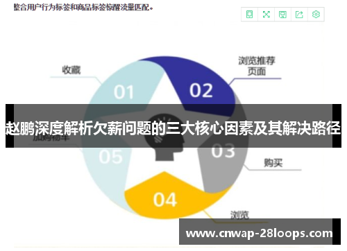 赵鹏深度解析欠薪问题的三大核心因素及其解决路径