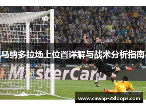 马纳多拉场上位置详解与战术分析指南