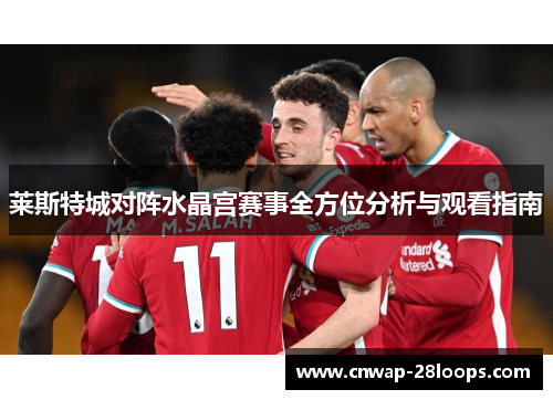 莱斯特城对阵水晶宫赛事全方位分析与观看指南 莱斯特城对阵水晶宫赛事全方位分析与观看指南