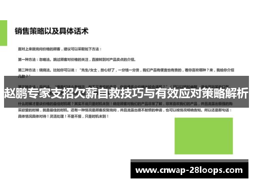 赵鹏专家支招欠薪自救技巧与有效应对策略解析