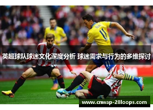 英超球队球迷文化深度分析 球迷需求与行为的多维探讨