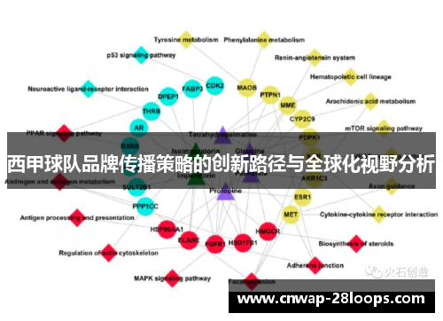 西甲球队品牌传播策略的创新路径与全球化视野分析 西甲球队品牌传播策略的创新路径与全球化视野分析