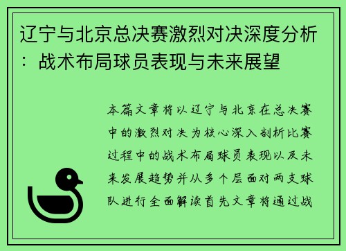 辽宁与北京总决赛激烈对决深度分析：战术布局球员表现与未来展望
