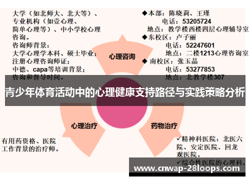 青少年体育活动中的心理健康支持路径与实践策略分析